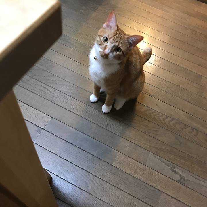 Cbfe4596 5a06 4a3e 8cad be8495e8165a