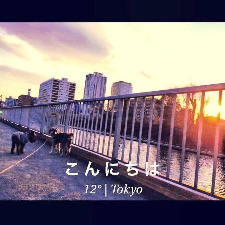 Cbfe6091 add2 4544 9597 58143f98ebed