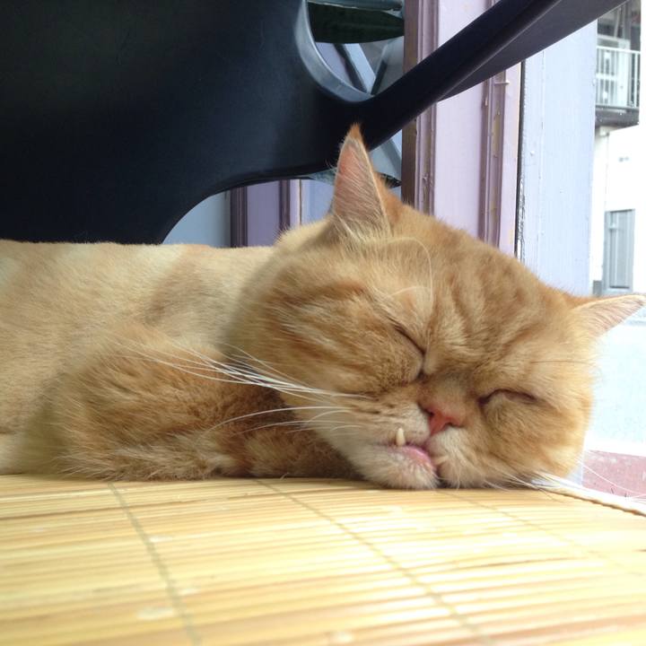 Cbfe7a5f 5208 4faa 94b0 627a0fece9ac