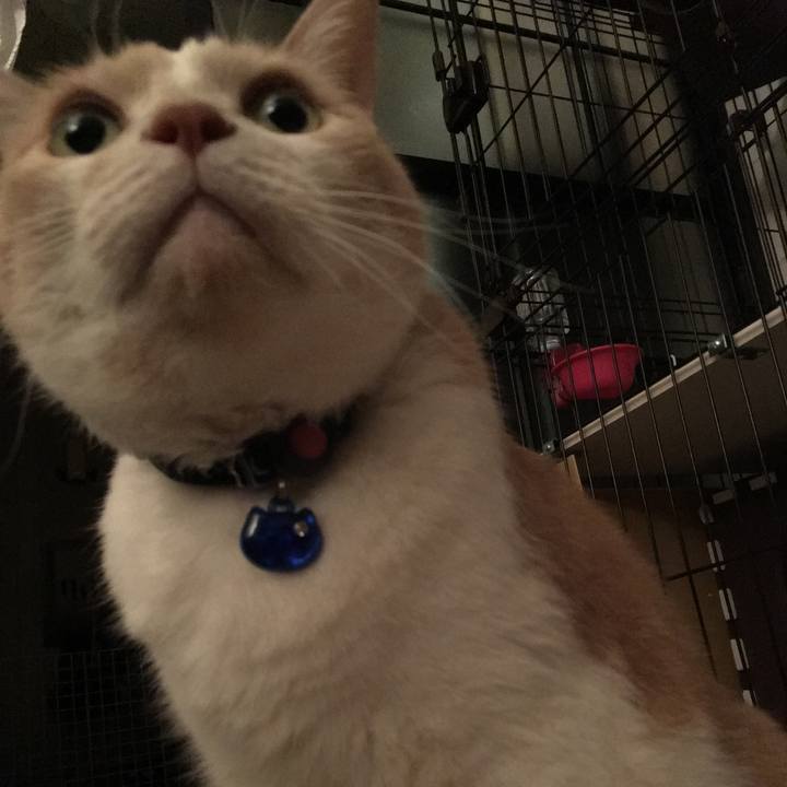 Cbfe7f62 b7cb 40a7 b0f3 fc9fa6726e4a