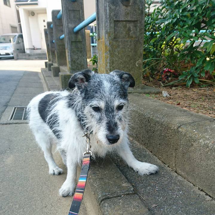 Cbfe907b fbd9 407f 8eaa c38061810f90