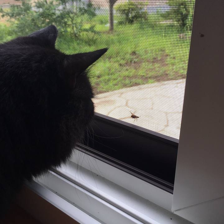 Cbfec935 b521 4f8f 8057 b022be15d842