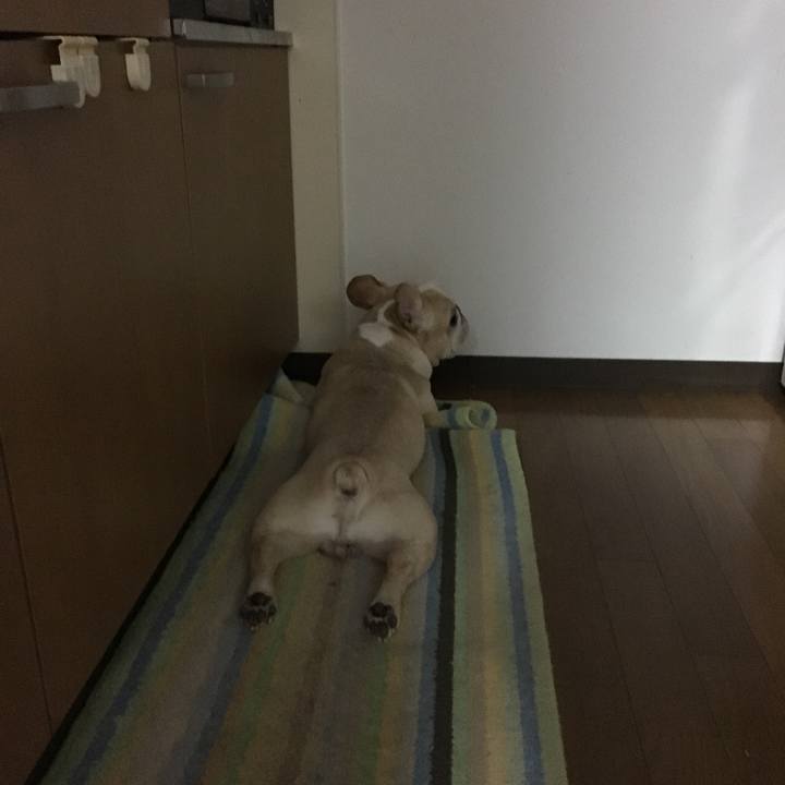 Cbfed4b3 e295 40ad 858f 52849821b256