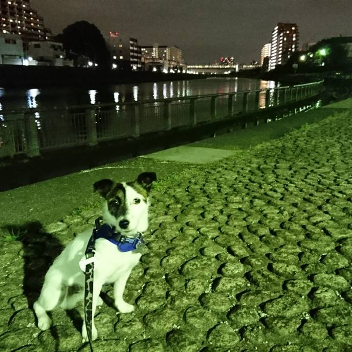 Cbfed7f0 c49a 4762 b455 84b2b621bd12