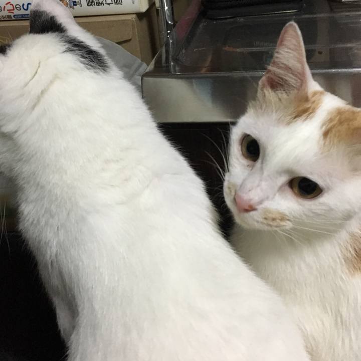 Cbff460d f9da 41d5 ba3e 9453b7d07007