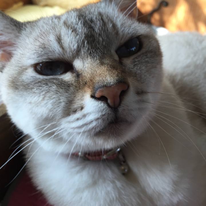 Cbff7154 d823 4661 94d7 2b1dbdc99027