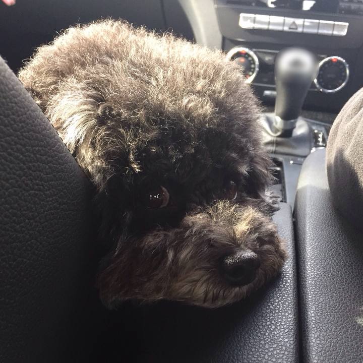 Cc011b13 1ace 469a 93ab 0cb6c59eb17e