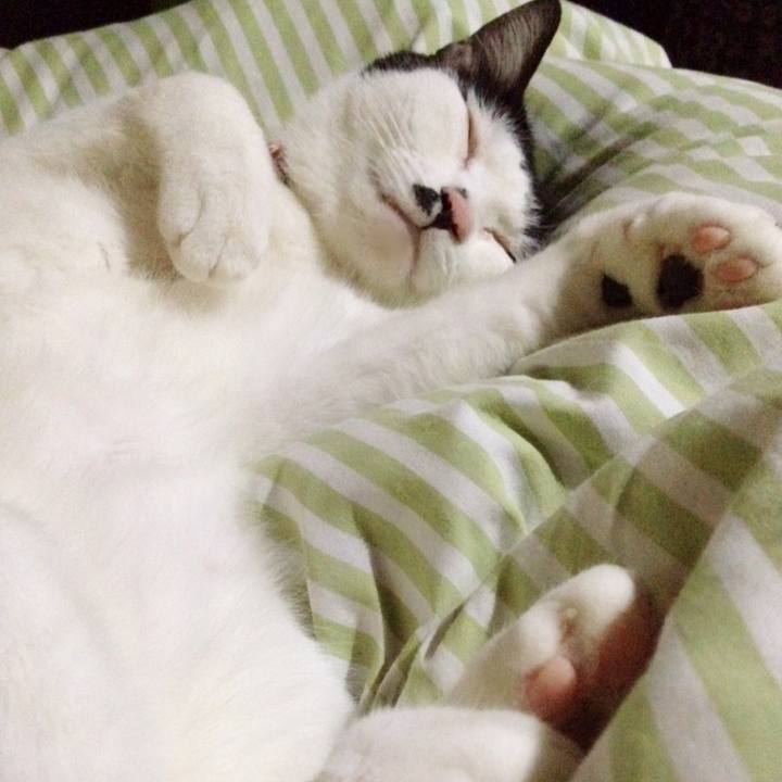 Cc0185d7 8c9d 4913 bc91 fc00d01edff7