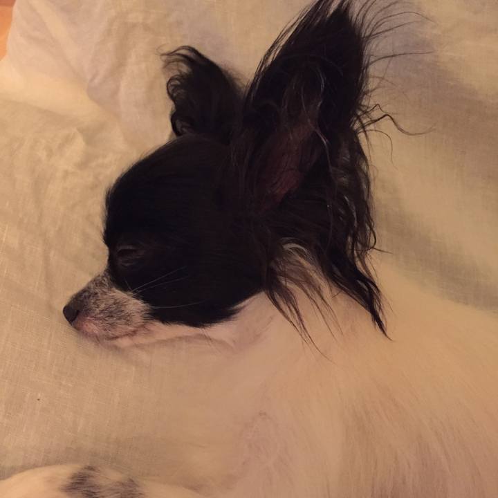 Cc0214f8 b5ae 4ffa 88e2 a0e2fa159060