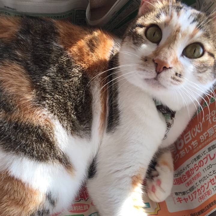 Cc02d0ff 451a 485e 992b e467a7ee17ec