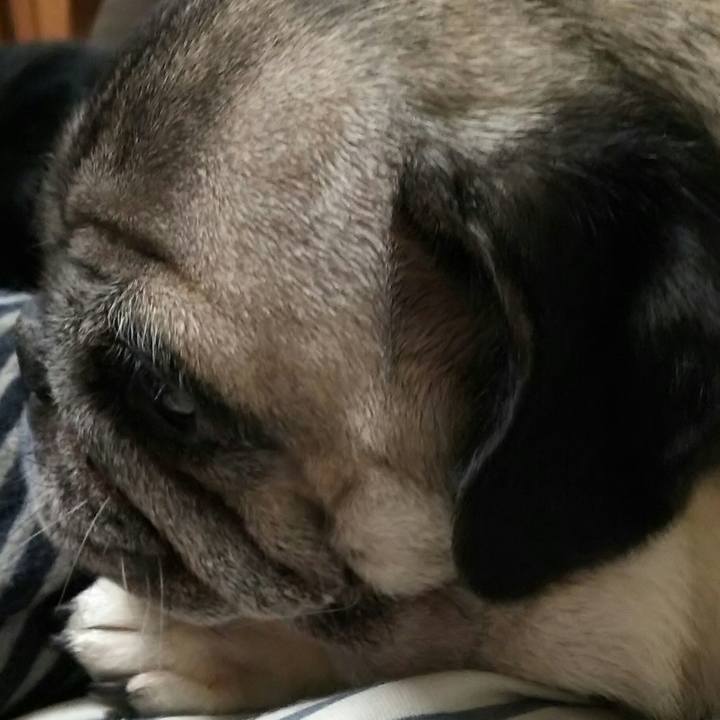 Cc0329bd af9a 4159 80ec 49545f957fd1