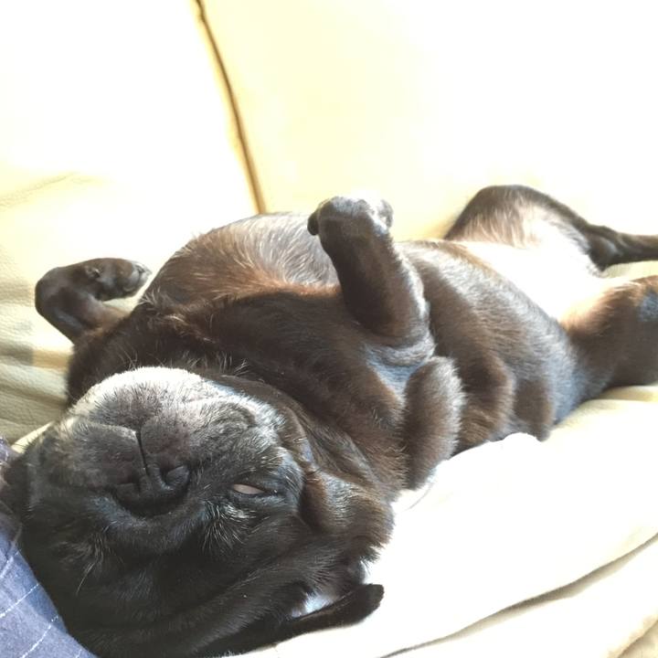 Cc0332a6 0a01 4ad1 a18d 8f99edebdbb1