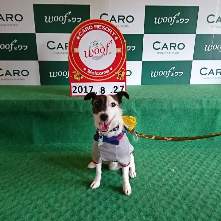 Cc040d60 a6d3 45bb 9288 9ae3823615f1