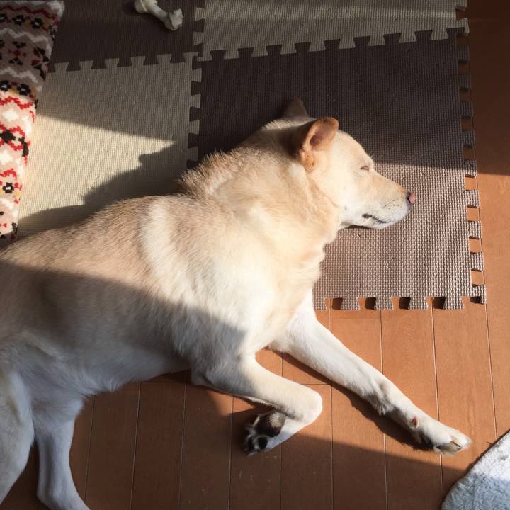 Cc041643 4700 4c09 9601 2a19de7d2278