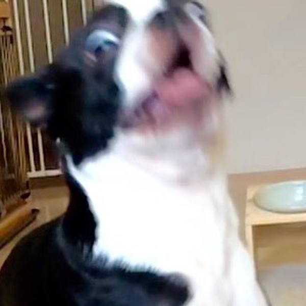 Cc0484af 923d 4d67 9ac9 2ebca197d67e