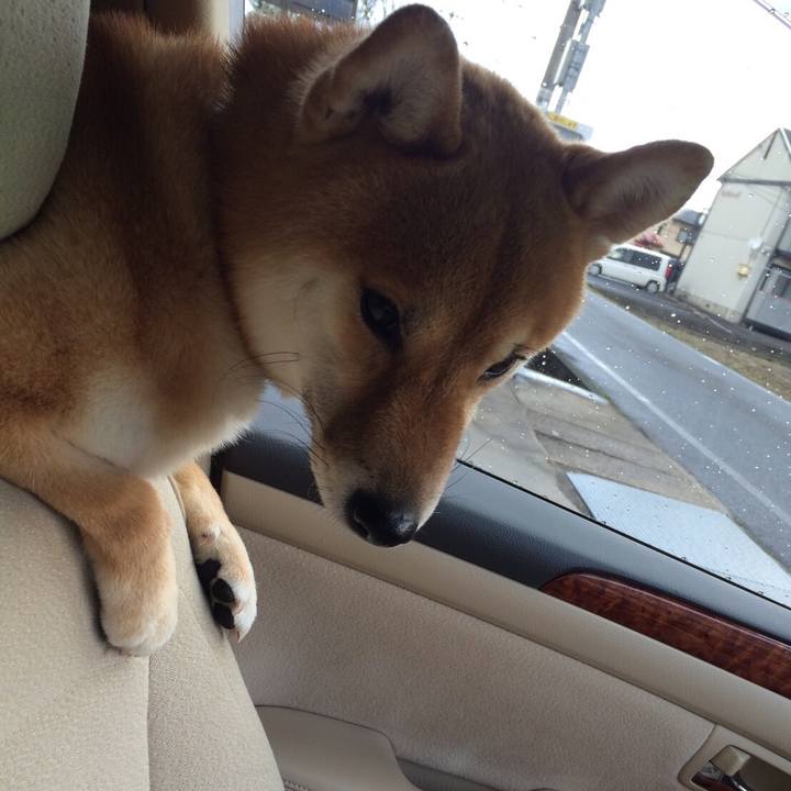 Cc053aa3 591d 4ece 8401 04307095d4cf