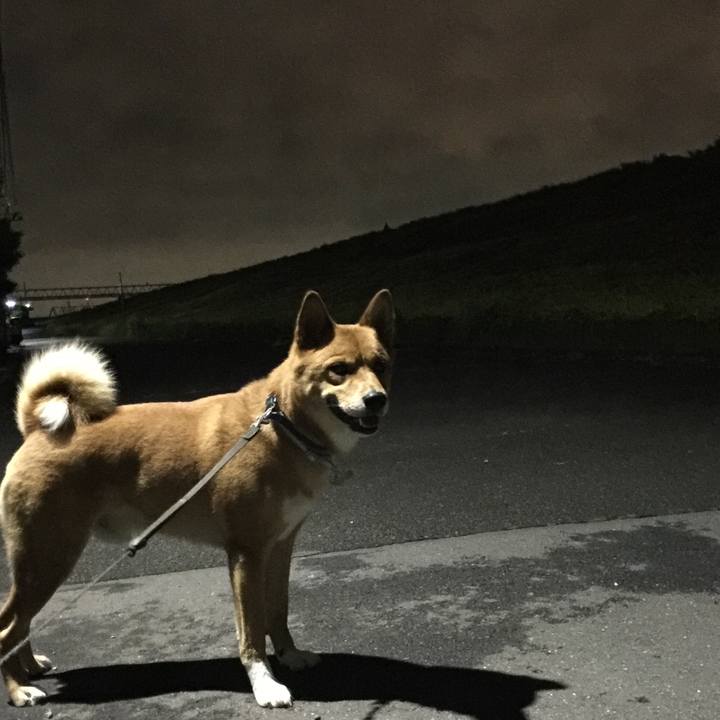 Cc05b0b8 6bf4 43ef a34c d4ff694040b3