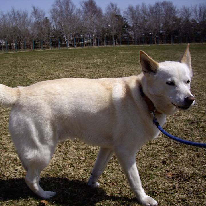 Cc0638c4 a27c 4ef6 b371 b5b9b7290551