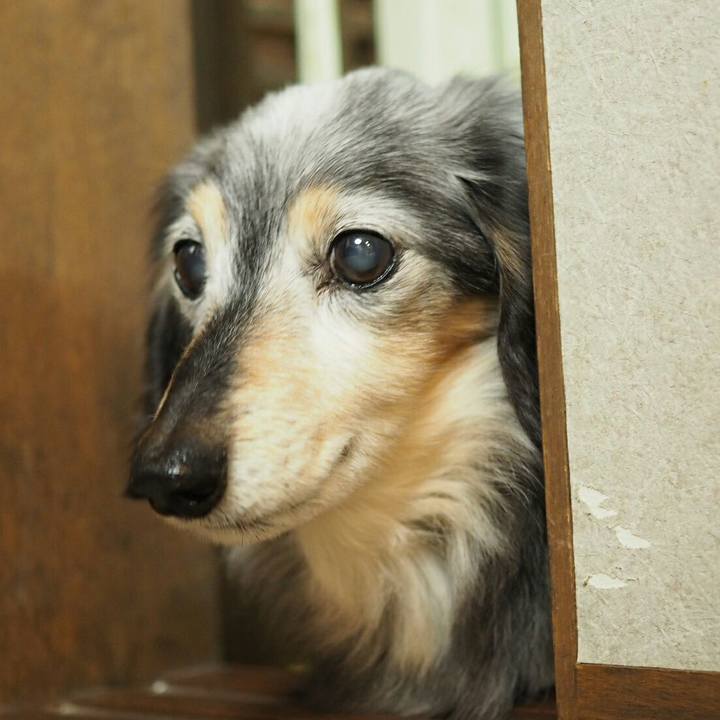 Cc0668bd fcc6 4767 802f e0989db2e18c