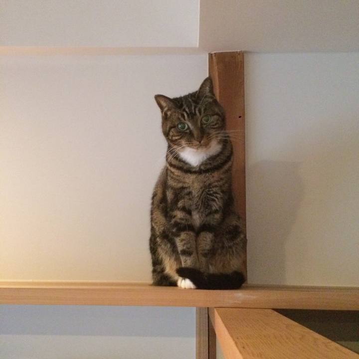 Cc069e8d 57e4 4e86 a56c cc1cb5566481