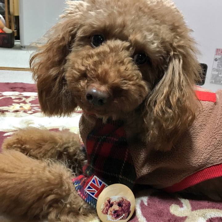 Cc071442 6f5a 428d 9105 d67e4c23a7b3