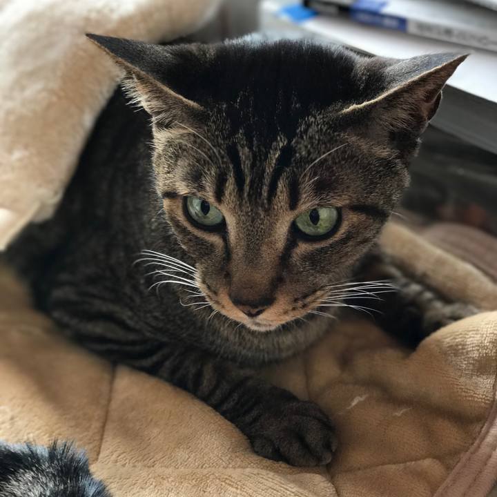 Cc075407 1392 4b32 b369 fadedb67c902