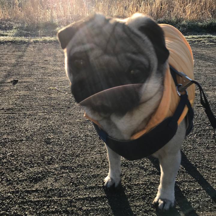 Cc095018 de73 4808 9615 72bb233393f6