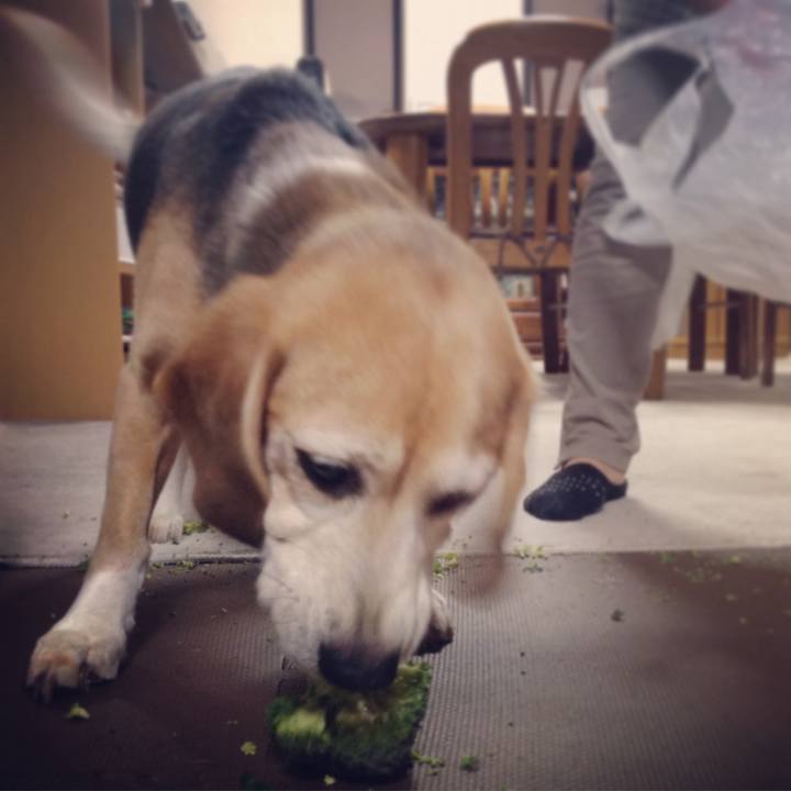 Cc095e61 bf4a 4195 8ef8 641496920b0b