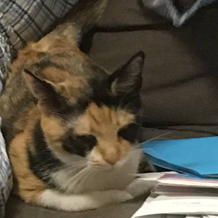 Cc0b30a4 aa75 4f24 87d4 01567499e429