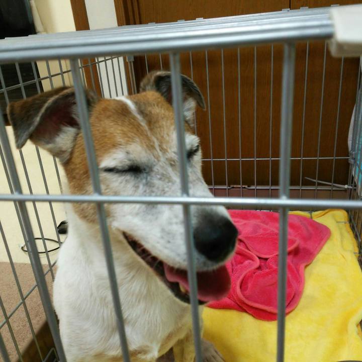 Cc0b4ba8 db57 4848 b04a a3baba12eef6