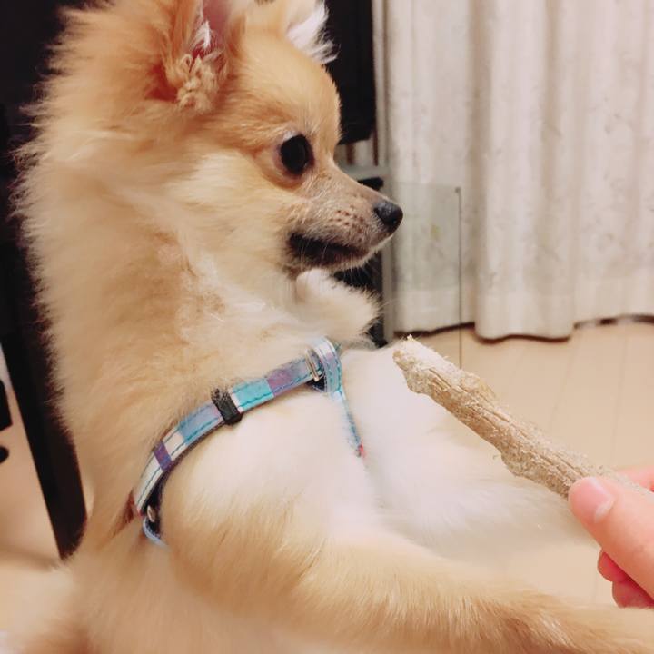 Cc0b5419 d945 4820 9654 8f481f8159dc