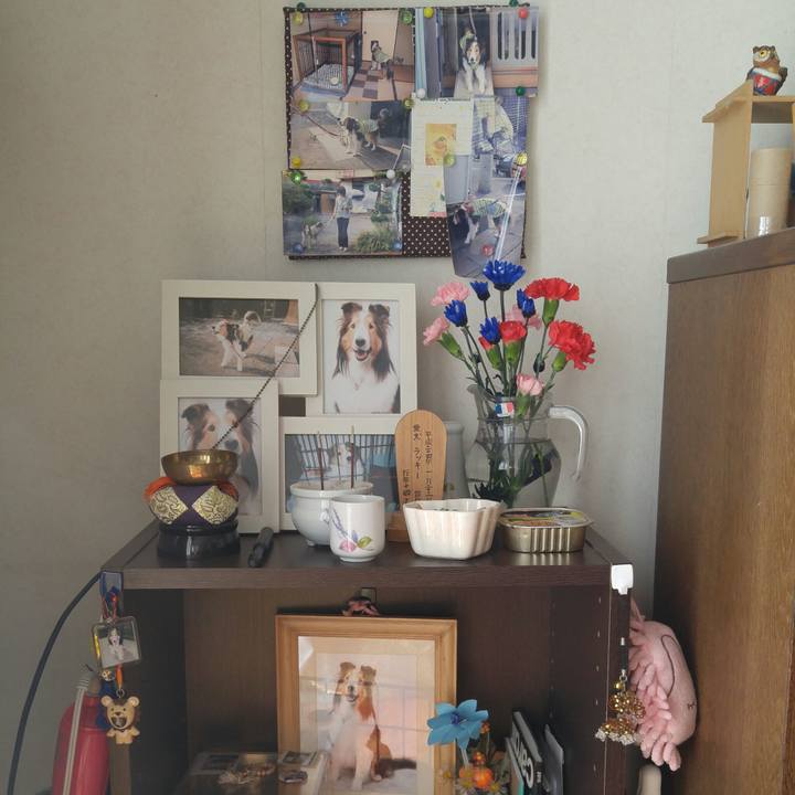 Cc0c6866 880a 4a04 9618 af01688b5a28