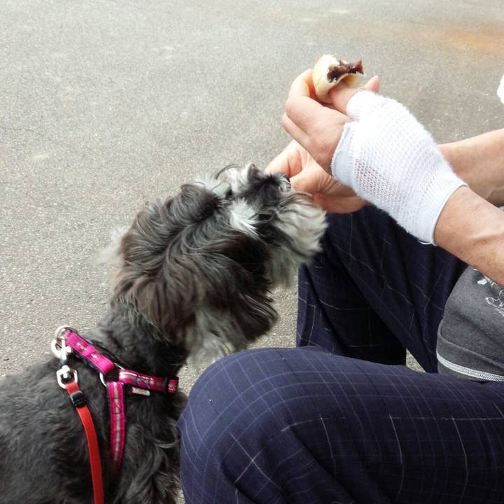 Cc0ceb40 d849 433a 8d09 4addeb514259