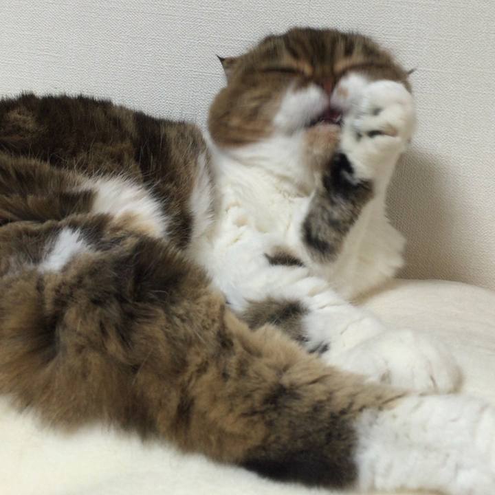 Cc0d4f82 562a 408f a7bc 97e92eee7e61