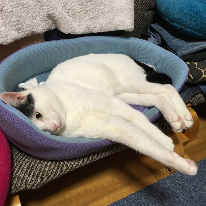 Cc0d9e14 2228 4f46 a593 beb1d17162ea