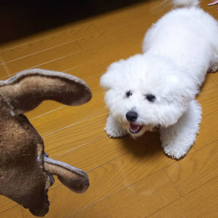 Cc0dc6c7 10f9 40c3 9ff7 b80fdb17e9b9