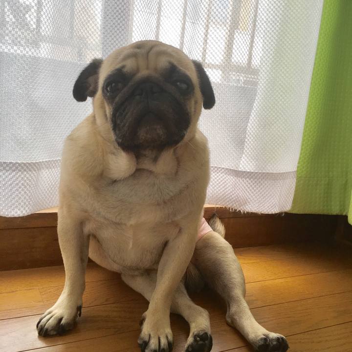 Cc0ddb9d f671 4c26 adbb 26f63b345004