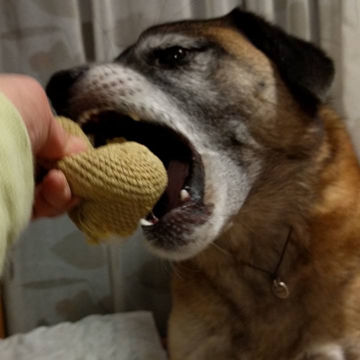 Cc0de6b8 4cc7 46bf b013 6a1bff7ac801