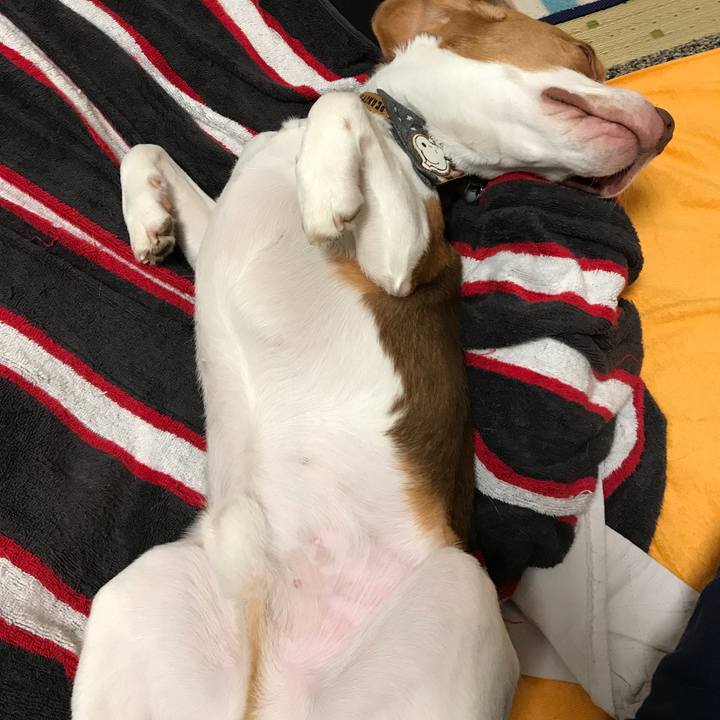 Cc0e3166 284b 4246 ac1e 80ae142f8ce2