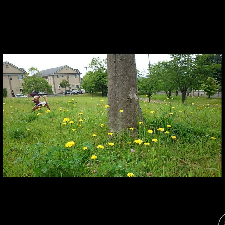 Cc0e5568 d5b3 4ffe 8ae2 be2cebf1b3b5