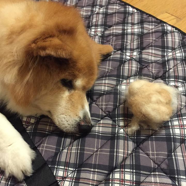 Cc0e5f09 a4e3 4136 ad93 38ecefc24131