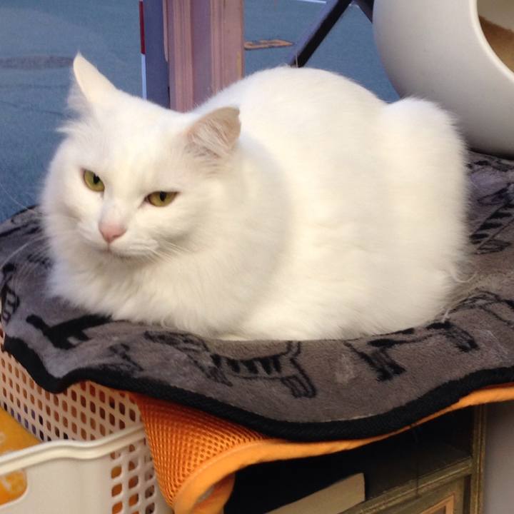 Cc0ee147 3eac 417a b1aa 60cd106571d3