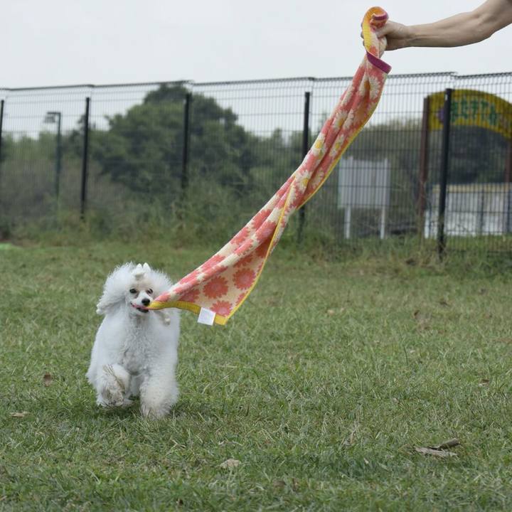 Cc0f5f6a d13e 498f 8b7d f00fa50c7ad8