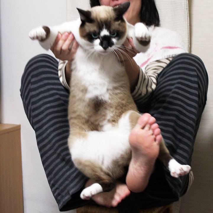 Cc0f7de0 541b 469e 9a3e d839b33d14e0