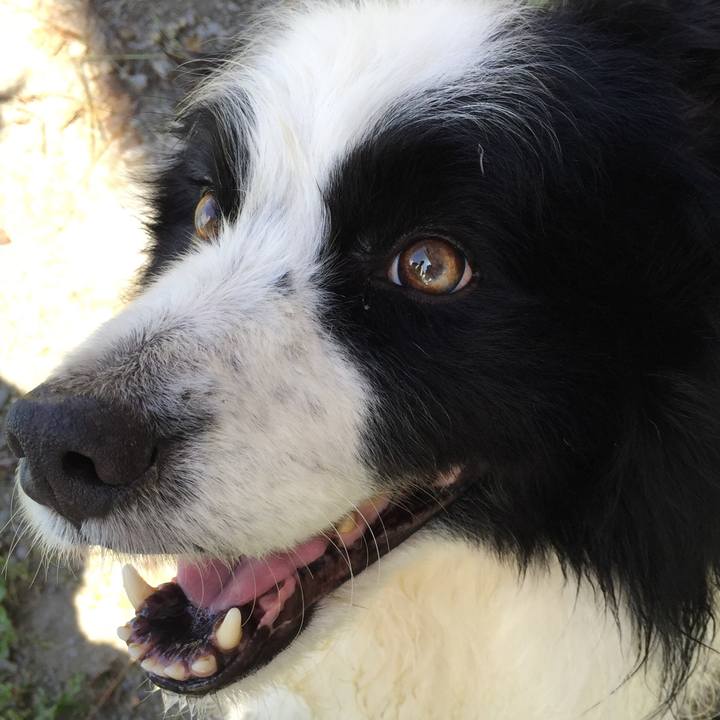 Cc1033ae 4b9e 4f11 985f 96edfec50bad