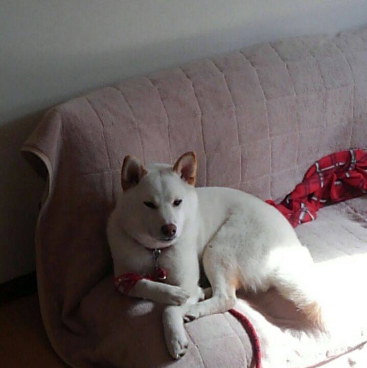 Cc106afe bd19 4c14 ae56 51c2e3226ccc