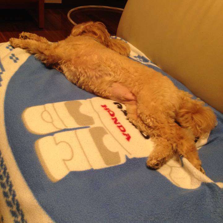 Cc10f1ef 0f68 4f2b 8297 3d5a4b4f98d5