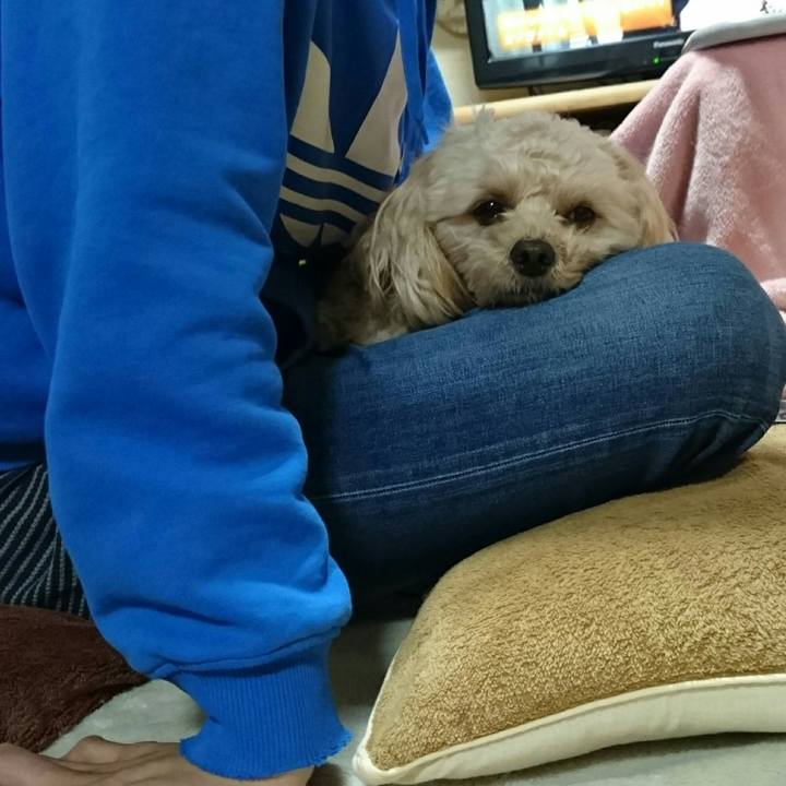 Cc10f96c e878 4078 aa41 9f70ea7d496d