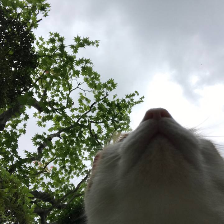 Cc112210 9a3f 4e9c aafb 9f34e9088c2f