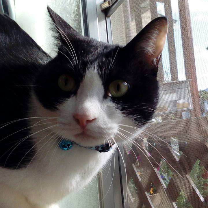 Cc1129aa 4db4 4293 8349 058742b84352